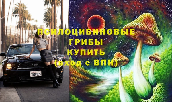 каннабис Богданович