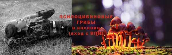 бутират Бугульма