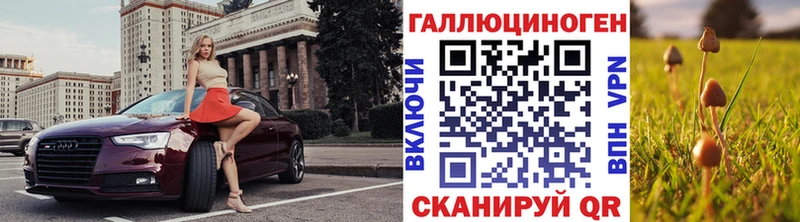 Галлюциногенные грибы мицелий цена наркотик Медынь